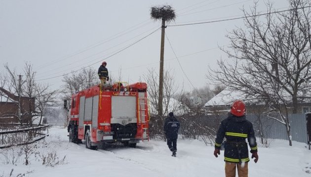На заході України рятують лелек від холоду і голоду