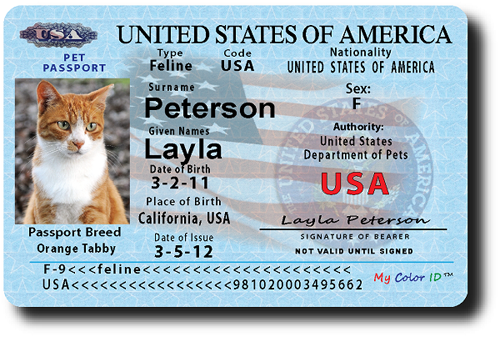Паспорт для кішки - це найважливіший документ у її житті, в ідеалі ветеринарний паспорт повинен бути у кожної кішки