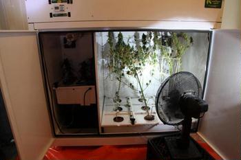 Споруда гроубокса своїми руками світло і вентиляція   Сьогодні гроубокса - найпопулярніші винаходи для домашнього вирощування рослин марихуани
