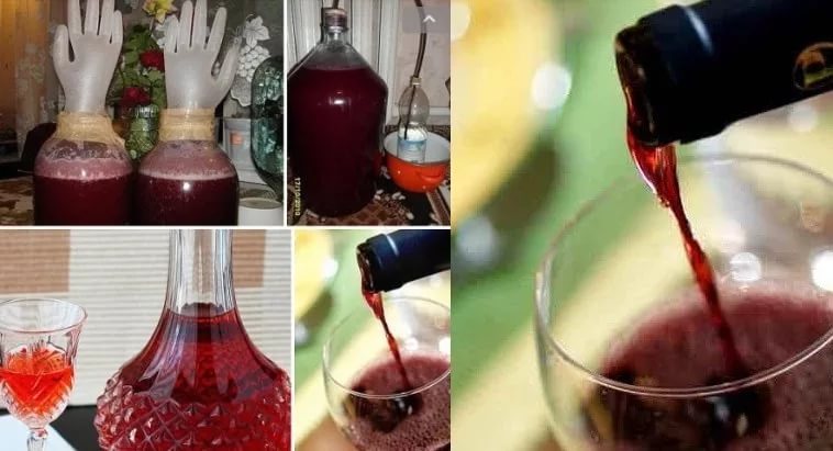 Вино з винограду в домашніх умовах можна зробити без спеціального обладнання, але певними знаннями володіти потрібно