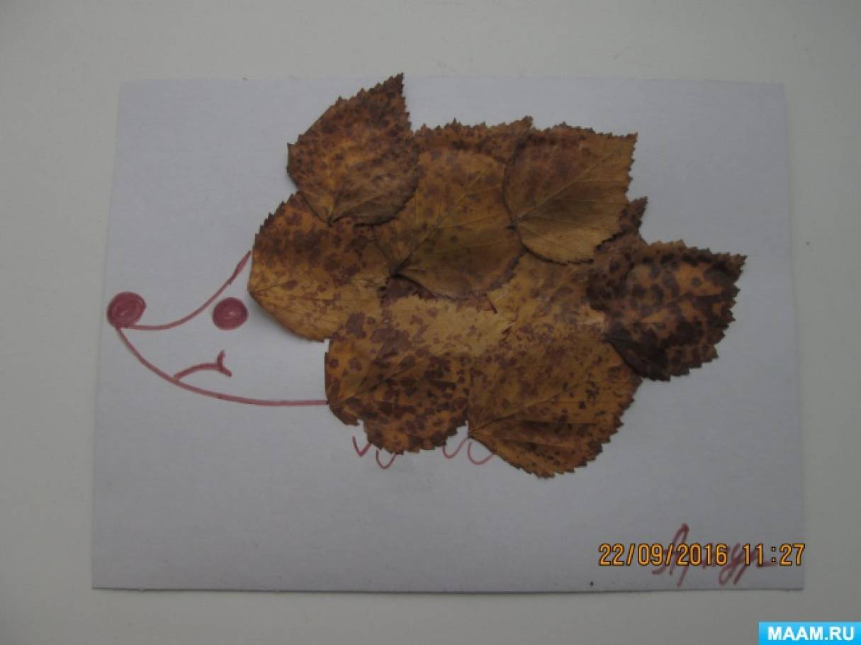 Юлія Щелкунова   Аплікація з осіннього листя «Їжачок»   нашому дитячому садку пройшла тематична тиждень під назвою осінь золота