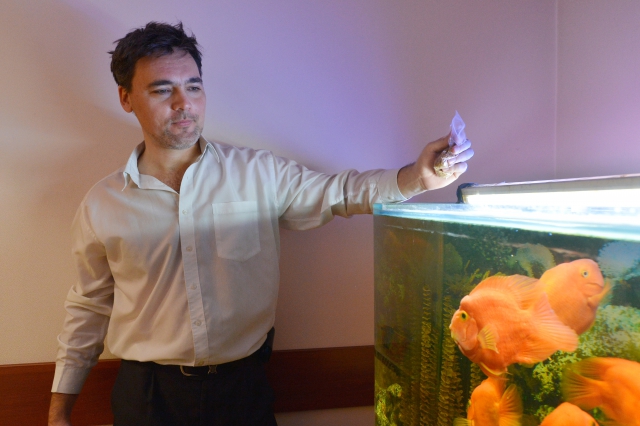 біологічний запуск   Розведенням акваріумних рибок Денис захоплювався з дитинства
