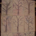 «Самотнє дерево» - графічний малюнок кольоровими олівцями в старшій групі   Доброго дня