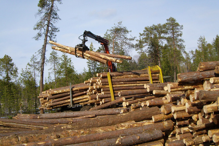 Найбільший обсяг готової продукції випускається в целюлозно - паперовій і лісохімічної галузях, за кількістю зайнятих працівників лідирує деревообробна промисловість