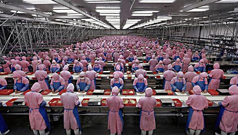 Виробництво iPhone: «Зроблено в Китаї»
